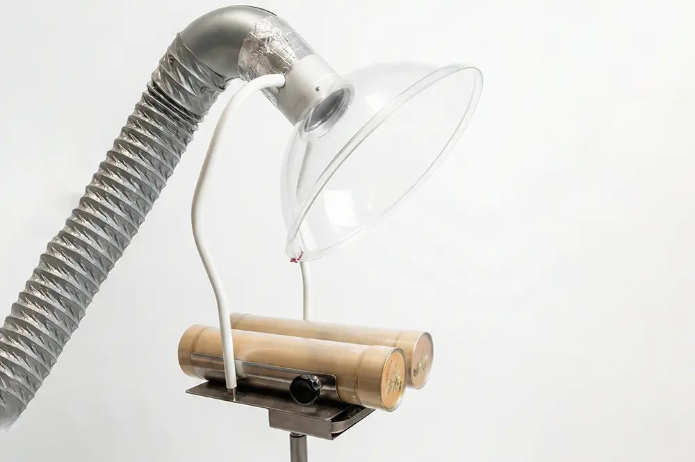 艾草功效與禁忌 1